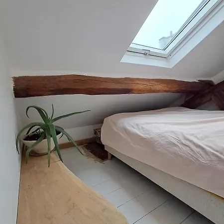 Lägenhet Unit 019 Ile Saint Louis Duplex Cosy Flat 3 Pax